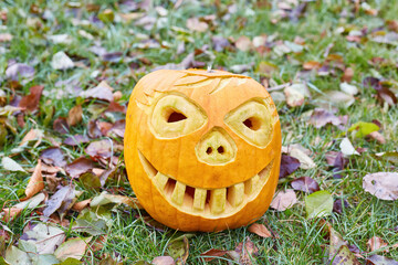 Carved Halloween Jack-o'-lantern on Grassy Lawn