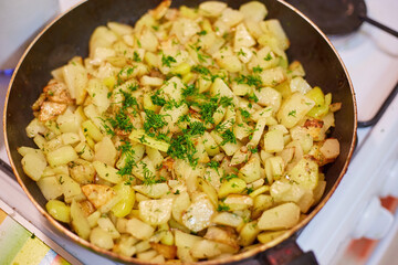 Fried Potatoes with Dill on Stove