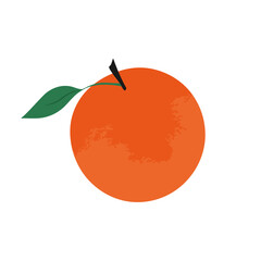 Orange fruit isolated on white background. Cartoon fruit. Vector illustration