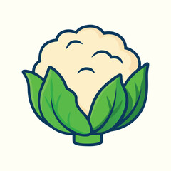 Cauliflower Vector Illustration 