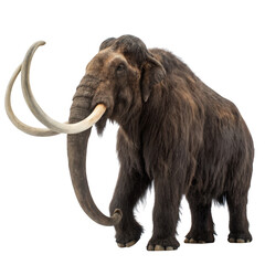 Obraz premium A majestic woolly mammoth stands tall, a relic of the ice age and a symbol of prehistoric wildlife isolated on transparent background