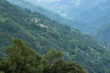 Scenic beauty of Green forests of Himalayan mountains, Okhrey, sikkim, India. Okhrey village is...