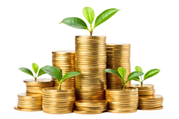 Stacks of gold coins with green sprouts isolated on transparent background show financial growth