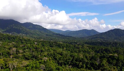 Fototapeta premium Lush green mountain range with dense forest