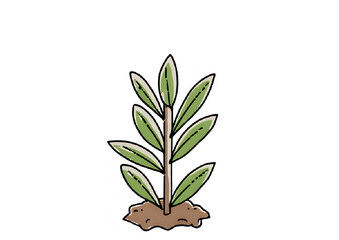green plant illustration