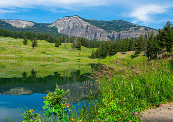 Beautiful lake with wildflowers in the mountains