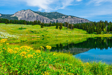 Beautiful lake in the mountains