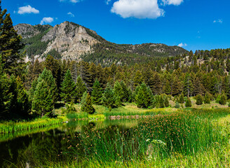 Beaver pond loop trail in the mountains