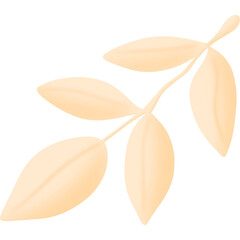 Autumn Pumpkin PNG Set