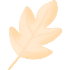 Autumn Pumpkin PNG Set