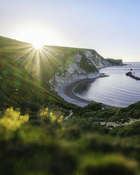  View of the sun rising over Man O War beach with wildflowers glowing on the rugged cliffs painting the sky in hues of gold and blue,Wareham, Dorset, England, United Kingdom.
