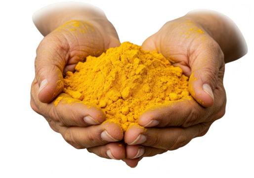 Hands holding a pile of yellow turmeric powder isolated on transparent background