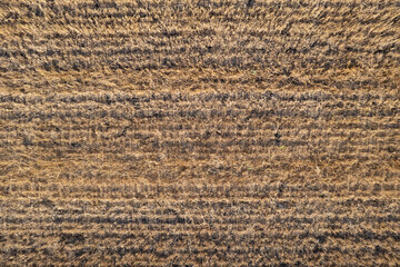 Aerial view of a freshly harvested wheat field, natural earth textures.