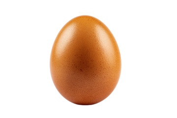 A large, round, brown egg with a smooth surface