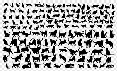 seamless pattern with cats set