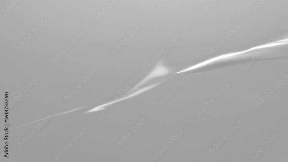 Poster abstract minimalist forms and textures and light, with a sense of movement and fluidity. the delicat