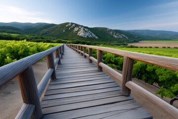 Scenic wooden bridge leading through lush green vineyard to hills
