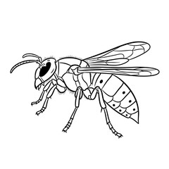 Detailed line drawing of a wasp showcasing its intricate wings and segmented body with spots and antennae