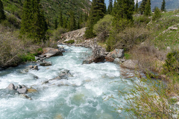 Ala-Archa Park, Fast flowing swiftwater river with whitewater rapids. Coniferous trees rocky slopes and wild vegetation in a mountainous region. Outdoor adventure and nature trekking activities
