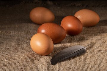 Homegrown organic chicken eggs laid against a rustic burlap background