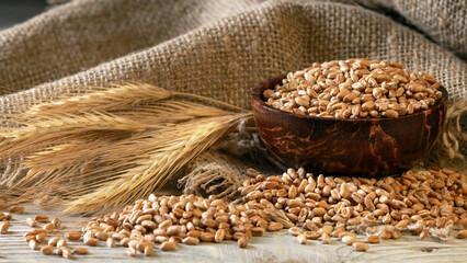Rustic cup filled with wheat grains and ears placed on a burlap napkin