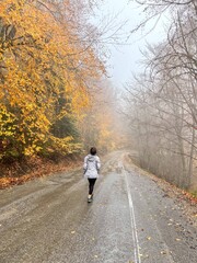Rear View of a Woman Walking into the Mist on a Wet Autumn Forest Road