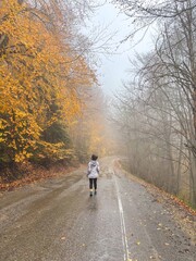 Woman Standing on a Wet, Leaf-Strewn Road in a Foggy Autumn Forest
