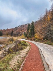 A Red Walking Path and Road Beside Gölcük Lake in Bolu, Turkey, During Autumn