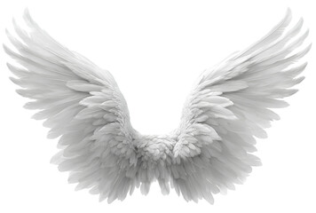 Fototapeta premium White angel wings isolated on transparent background.