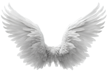 White angel wings isolated on transparent background.
