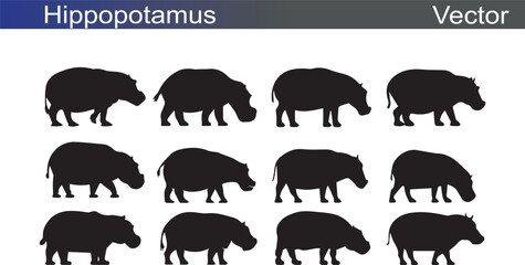 Wild Life Silhouette on White Background Vector Illustration