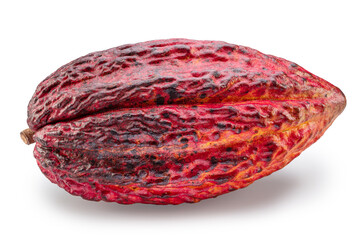 Fresh cocoa fruit or cocoa pod isolated on white background. Clipping path.