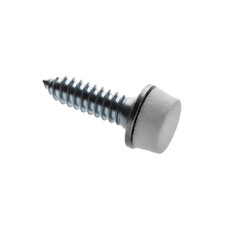 Close up of a screw with a white plastic cap on a transparent background