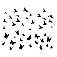 Bird and butterfly silhouette vector