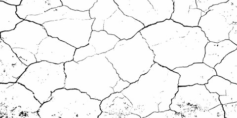 A high-contrast, black and white texture overlay of extensively cracked and distressed dry ground, featuring jagged, organic fissures and subtle granular details against a stark white background.