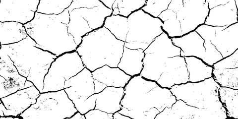 A high-contrast, black and white texture overlay of extensively cracked and distressed dry ground, featuring jagged, organic fissures and subtle granular details against a stark white background.