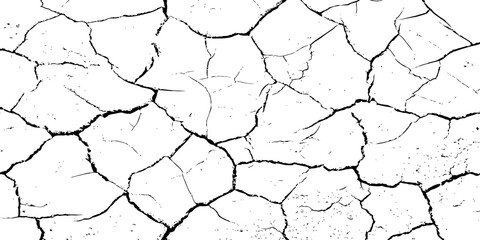 A high-contrast, black and white texture overlay of extensively cracked and distressed dry ground, featuring jagged, organic fissures and subtle granular details against a stark white background.