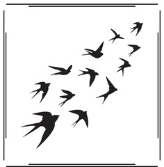 Swallow Bird Silhouettes Set - Flock of Swallows in Flight, Bird Icons, Nature Graphics for Wildlife, Freedom, and Creative Use