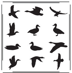 Duck Silhouettes Set - Various Duck Poses, Flying and Standing Duck Icons, Bird Graphics for Nature, Wildlife, and Creative Use