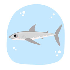 Cute shark. Vector Illustration for printing, backgrounds, covers and packaging. Image can be used for greeting cards, posters, stickers and textile. Isolated on white background.