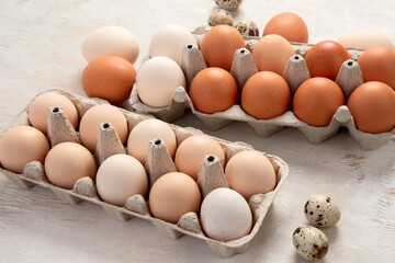 Diggerent kind of fresh eggs in containers.
