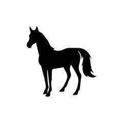 Black horse vector silhouette illustration isolated on white, depicting a stallion