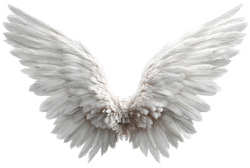 Obraz premium White angel wings isolated on transparent background.