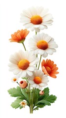 Vibrant White and Orange Daisies Bouquet Close Up
