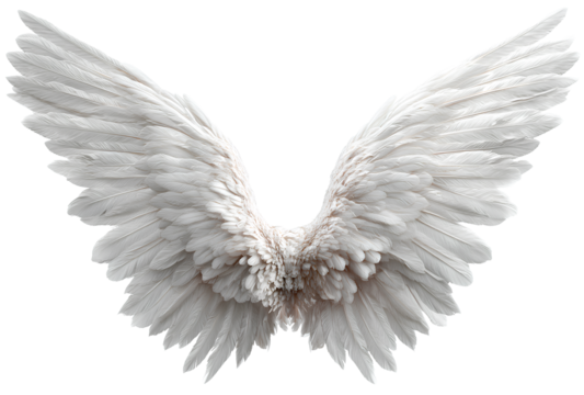 White angel wings isolated on transparent background. - Powered by Adobe