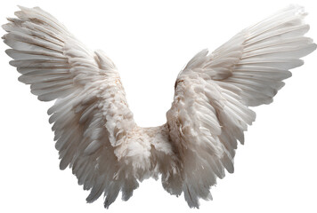Fototapeta premium White angel wings isolated on transparent background.