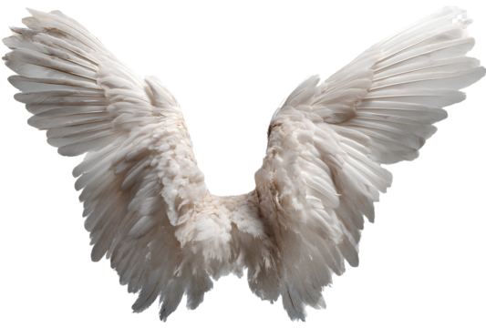 White angel wings isolated on transparent background.
