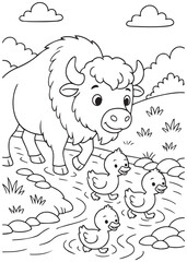 Coloring book page of a bison crossing a stream with baby ducks.