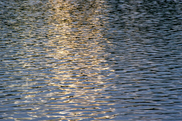 ranquil beauty of shimmering blue water rippling gently under sunlight, with golden highlights dancing across its surface 