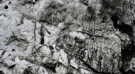 Grey stone on cave wall surface with holes for abstract background and texture. Template for design, natural patterns, space for work, banner,seamless wallpaper, close up.